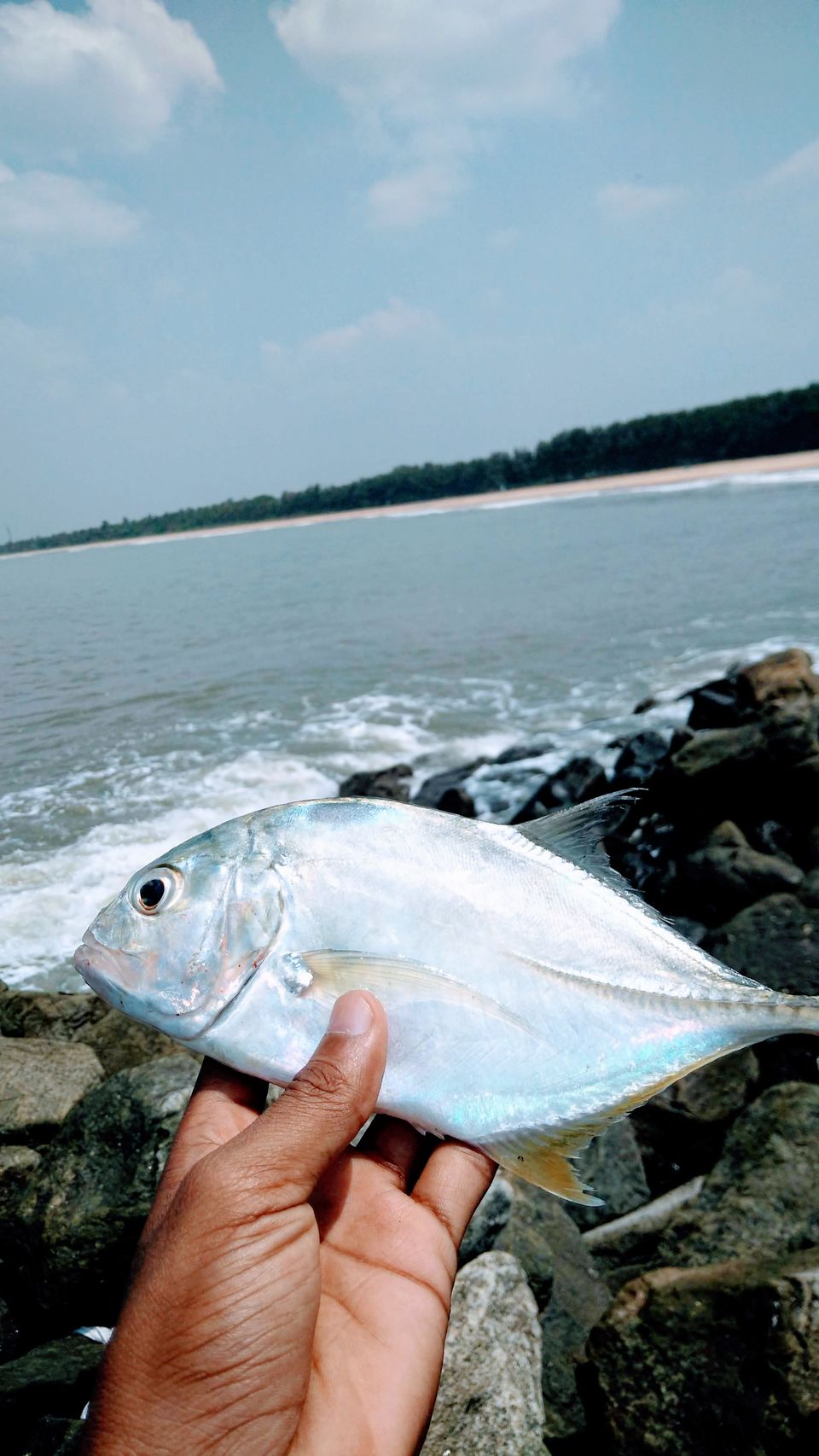 Photo of Kootayi Beach, Kerala, India by Mohammed Afzal