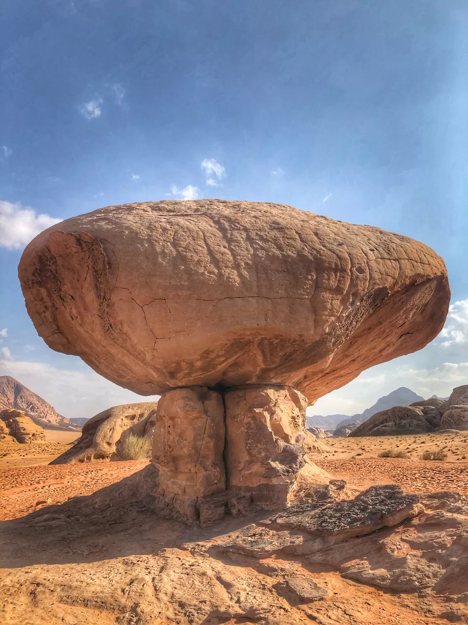 Photo of Mushroom, Jordan by Andrew Bradshaw