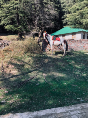 Photo of Dalhousie-Khajjiar 4/10 by Bros On Roads by Jasbir & Akshit