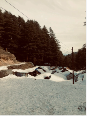Photo of Dalhousie-Khajjiar 5/10 by Bros On Roads by Jasbir & Akshit