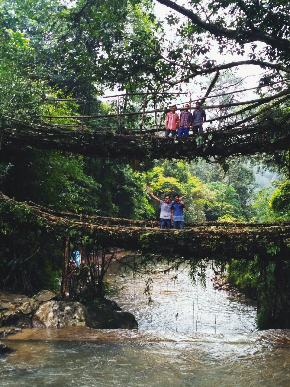 Photo of Treasure Quest in Meghalaya: Living Root Bridge | Rainbow Falls by Nishanth Naik