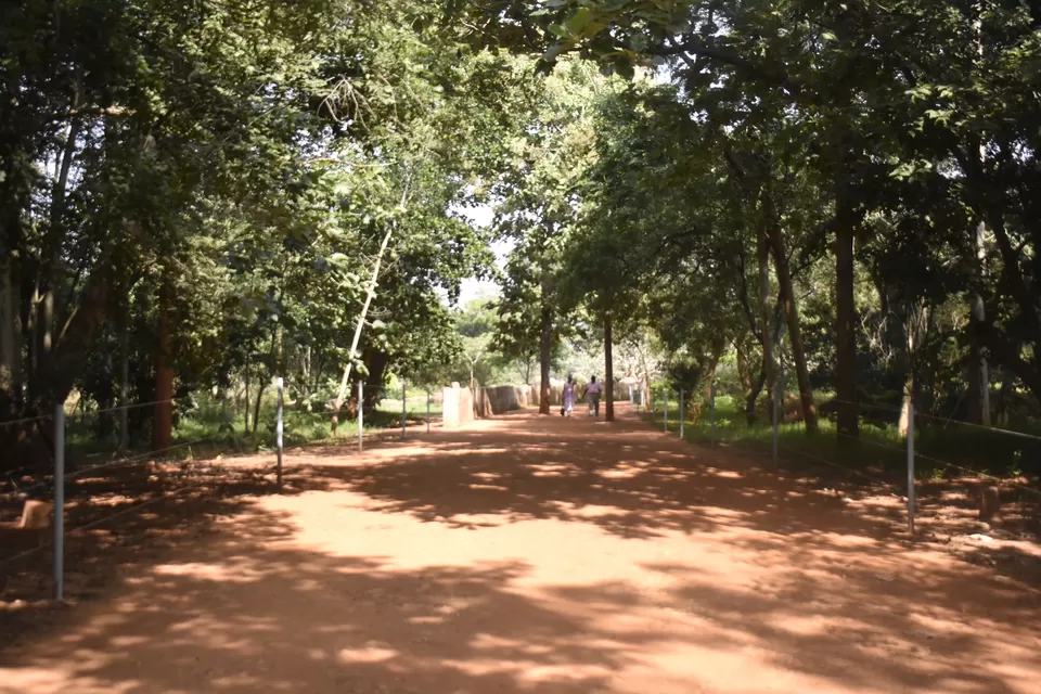 Photo of Auroville Puducherry, Auroville, Bommayapalayam, Tamil Nadu, India by Apurbo Samanta