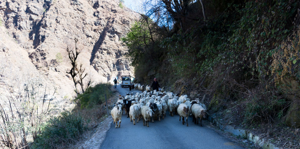 Photo of Sainj Valley - Hidden Himachal, Distt, Sainj, Himachal Pradesh, India by Sandipan Banerjee