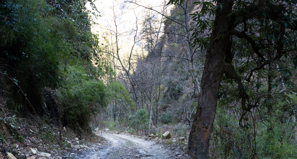 Photo of Pundrik Rishi Lake, Manyashi, Himachal Pradesh, India by Sandipan Banerjee
