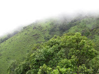 Photo of Kemmanagundi-Chikmagalur and around ! by Karthik Ramanathan