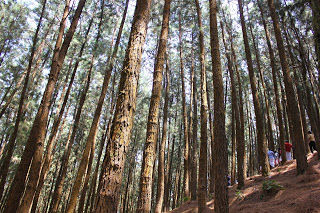 Photo of Vagamon Hills, Vagamon, Kerala, India by Karthik Ramanathan
