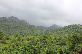 Photo of Old Courtallam, Courtallam Slopes R.F., Tamil Nadu, India by Karthik Ramanathan