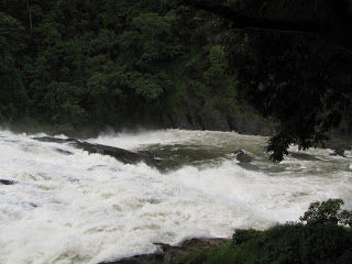 Photo of Vazhachal Waterfalls, Athirapilly road, Pariyaram, Kerala, India by Karthik Ramanathan