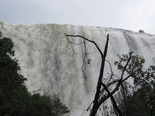 Photo of Monsoon Magic - Athirapally-Kochi ! by Karthik Ramanathan