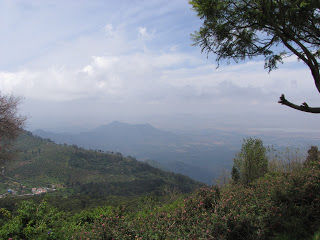 Photo of Kodaikanal, Tamil Nadu, India by Karthik Ramanathan