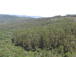 Photo of Kodaikanal in August.... by Karthik Ramanathan