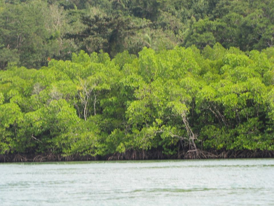 Photo of The Andaman Islands ! 13/45 by Karthik Ramanathan