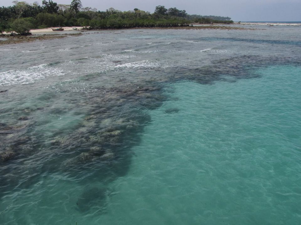Photo of The Andaman Islands ! 33/45 by Karthik Ramanathan
