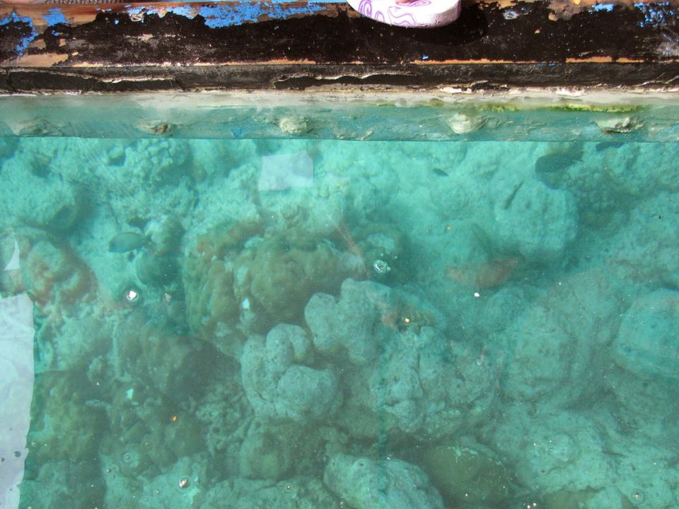 Photo of The Andaman Islands ! 38/45 by Karthik Ramanathan
