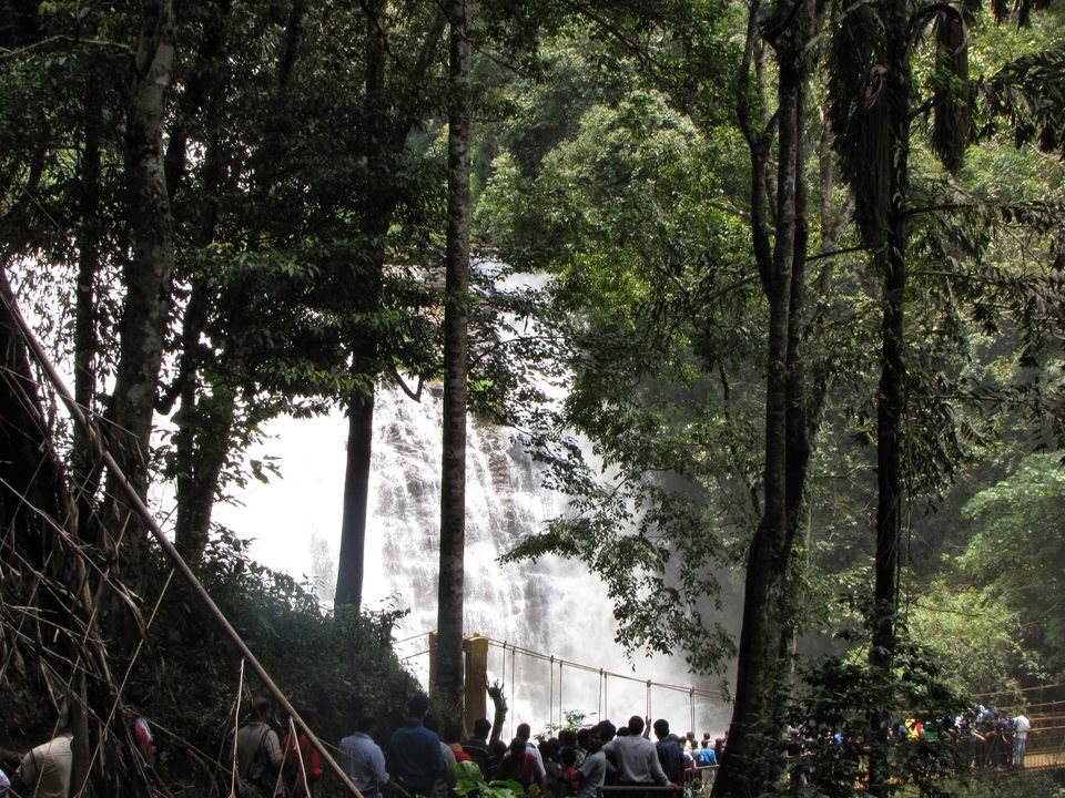 Photo of Misty Madikeri ... 2/29 by Karthik Ramanathan