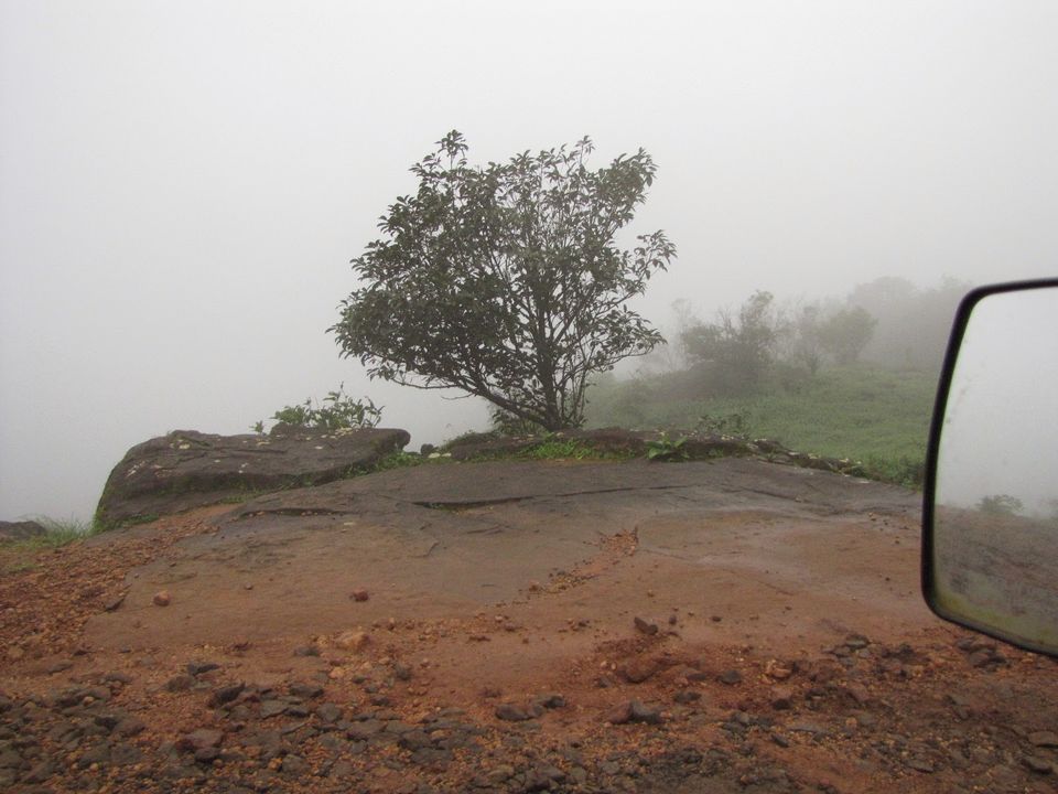Photo of Misty Madikeri ... 18/29 by Karthik Ramanathan