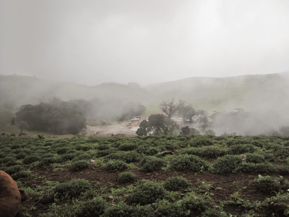 Photo of Misty Madikeri ... 22/29 by Karthik Ramanathan