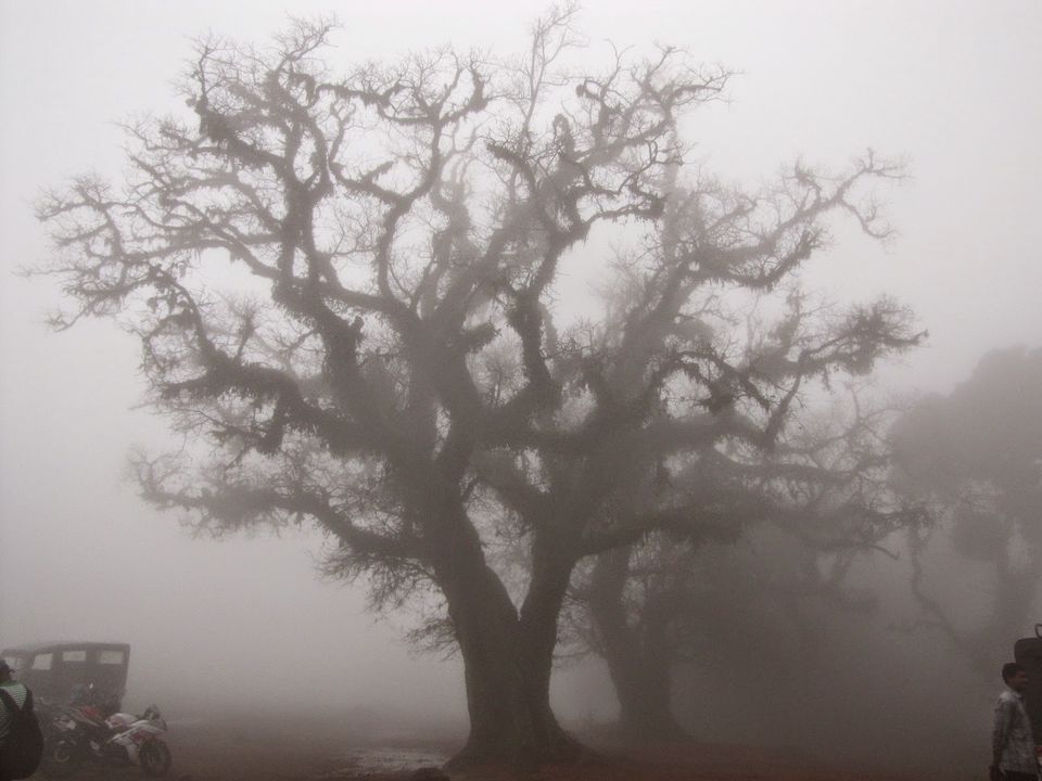 Photo of Misty Madikeri ... 23/29 by Karthik Ramanathan