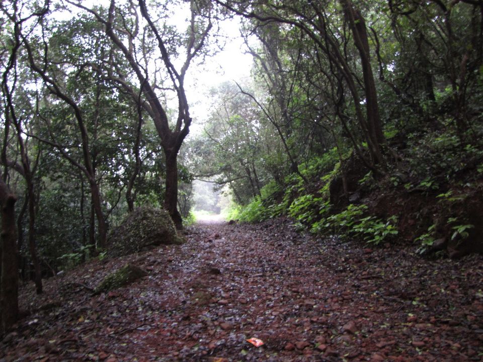 Photo of Matheran Hill Station, कस्तुरबा रोड, Matheran, Maharashtra, India by Karthik Ramanathan