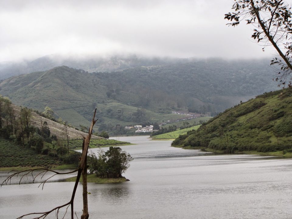 Photo of Suruli - Ramakkalmedu - Megamalai ! by Karthik Ramanathan