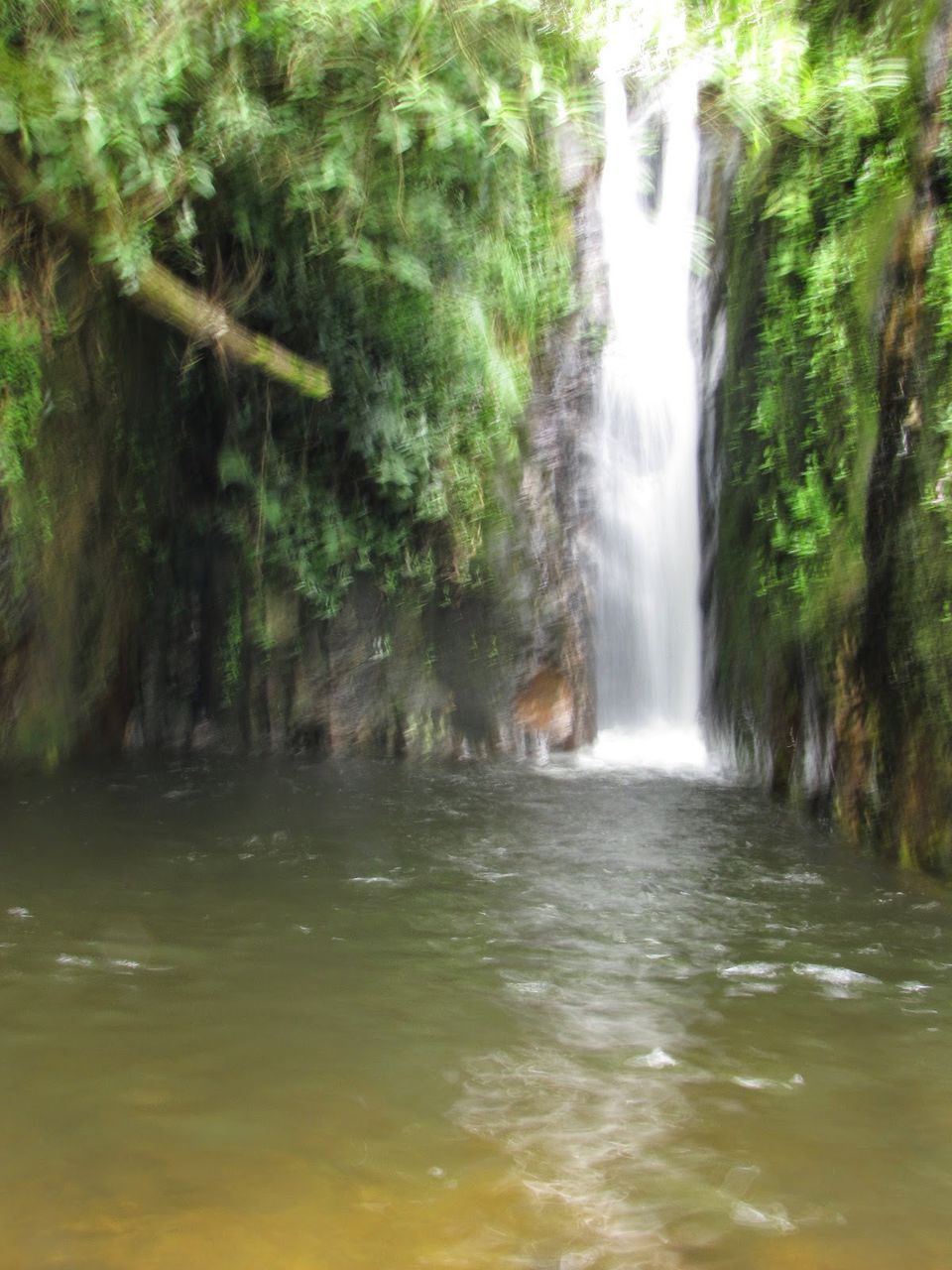 Photo of Suruli - Ramakkalmedu - Megamalai ! by Karthik Ramanathan