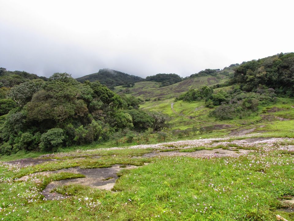 Photo of Suruli - Ramakkalmedu - Megamalai ! by Karthik Ramanathan