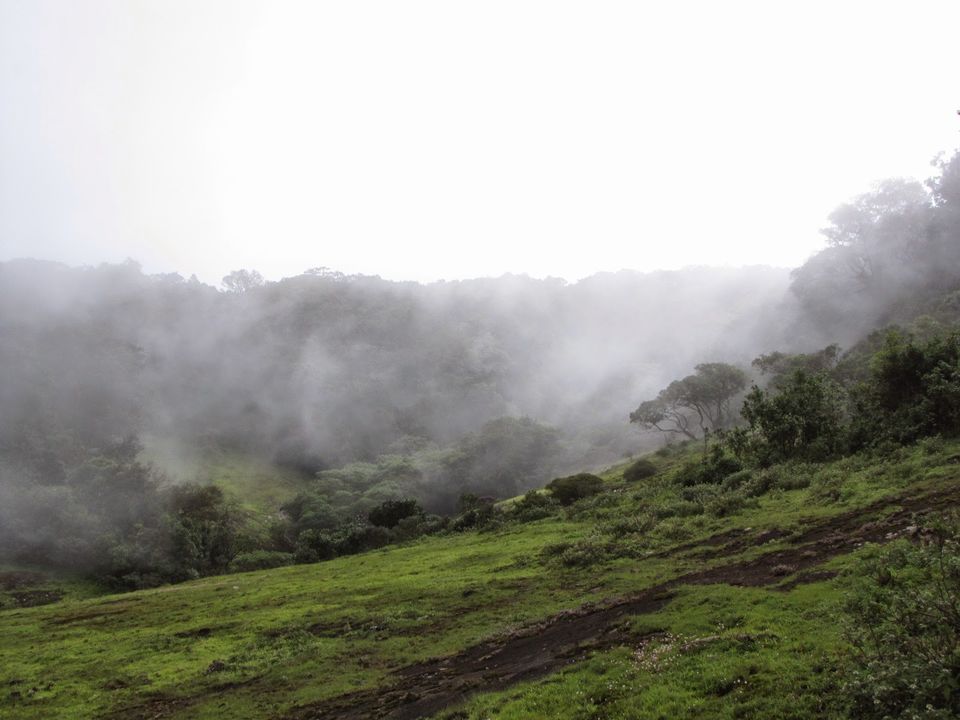 Photo of Suruli - Ramakkalmedu - Megamalai ! by Karthik Ramanathan