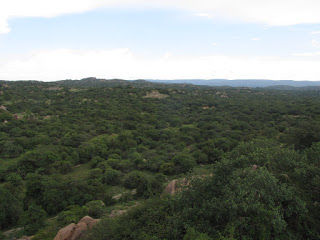 Photo of Hampi - Bear Sanctuary - Chitradurga by Karthik Ramanathan