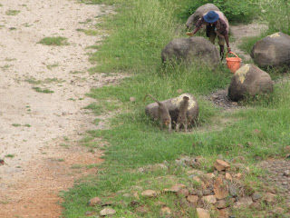 Photo of Hampi - Bear Sanctuary - Chitradurga by Karthik Ramanathan
