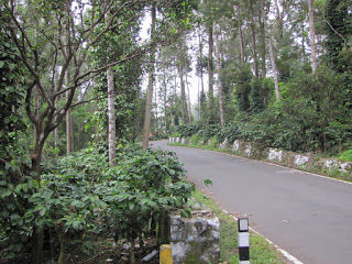 Photo of Yercaud, Tamil Nadu, India by Karthik Ramanathan