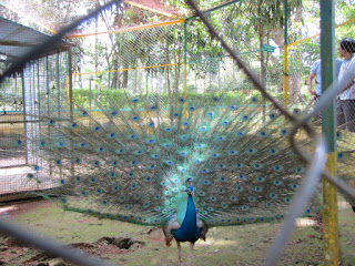 Photo of Yercaud and around Salem by Karthik Ramanathan