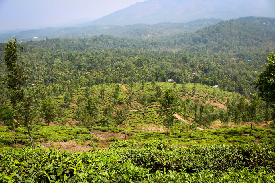 Photo of Gods own country for a reason. - trip to WAYANAD. 2/3 by SHREYAS PATIL