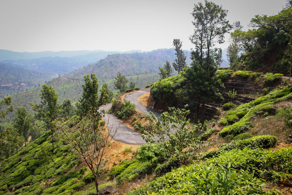 Photo of Gods own country for a reason. - trip to WAYANAD. 3/3 by SHREYAS PATIL