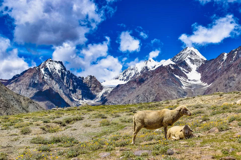 Photo of Kunzum Pass By The Naturalist