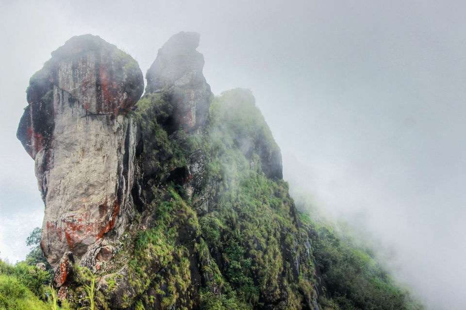 Photo of In search of the mysterious Neelakoduveli ;) 8/56 by Jerrin Issac