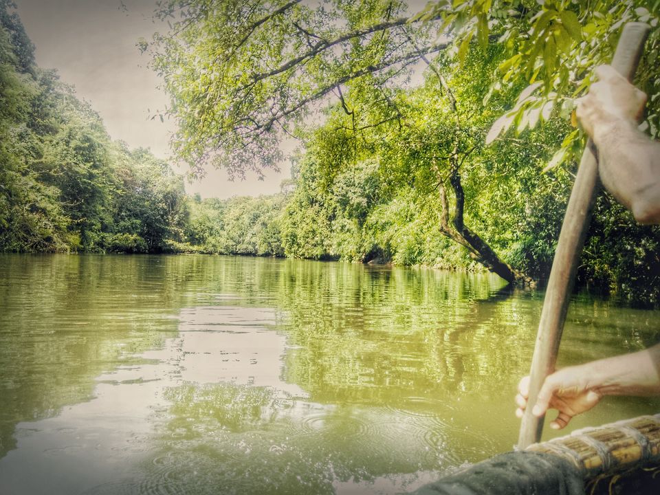 Photo of In search of the mysterious Neelakoduveli ;) 25/56 by Jerrin Issac