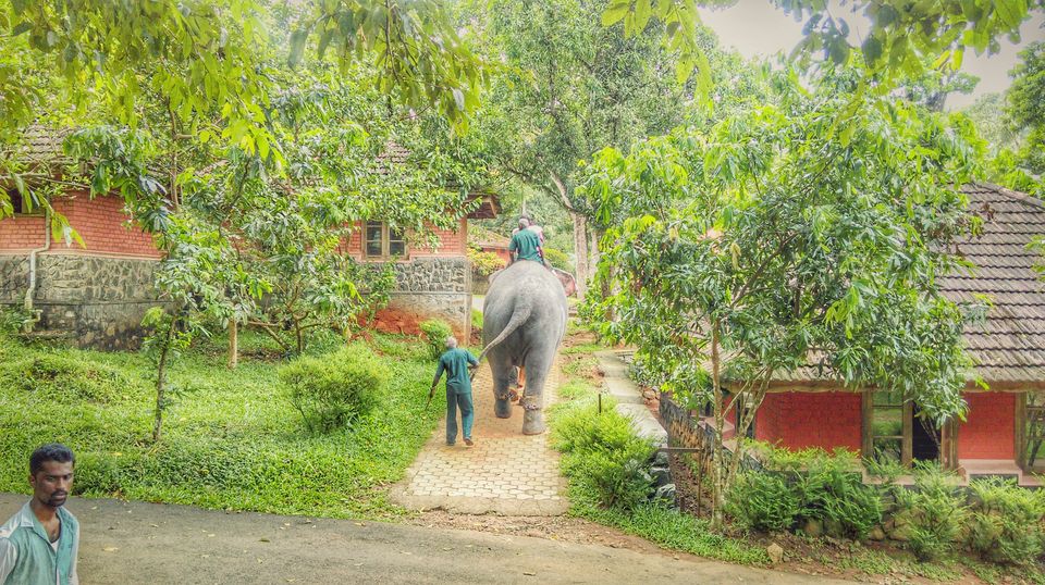 Photo of In search of the mysterious Neelakoduveli ;) 30/56 by Jerrin Issac