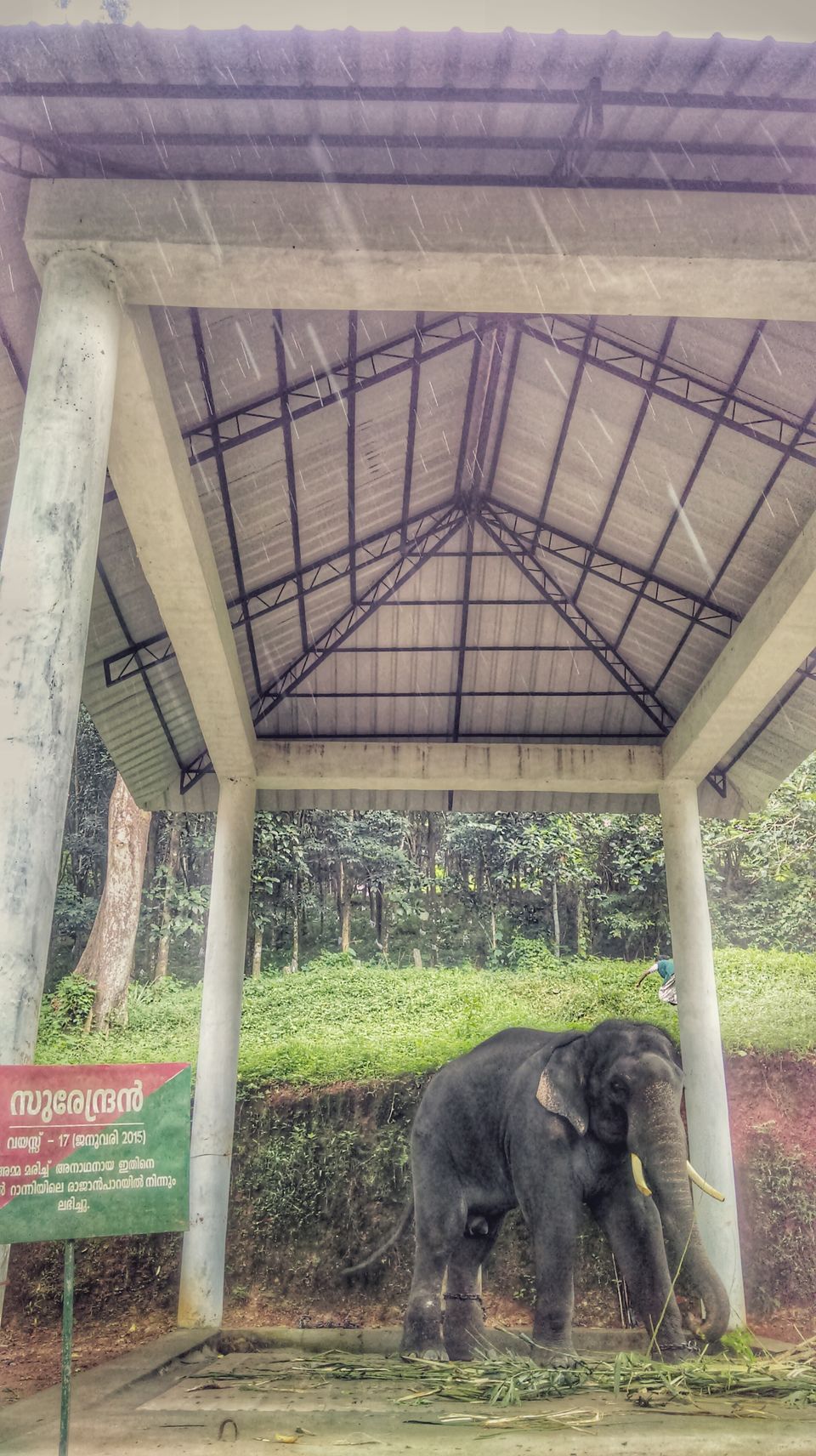 Photo of In search of the mysterious Neelakoduveli ;) 32/56 by Jerrin Issac