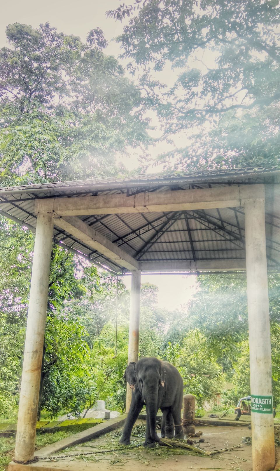 Photo of In search of the mysterious Neelakoduveli ;) 33/56 by Jerrin Issac