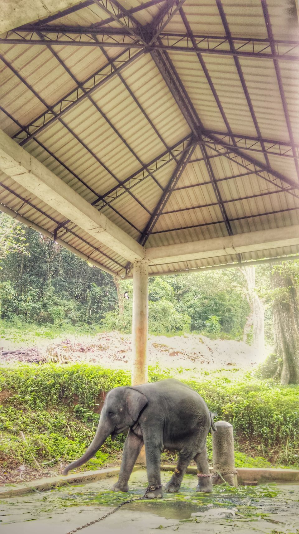 Photo of In search of the mysterious Neelakoduveli ;) 35/56 by Jerrin Issac
