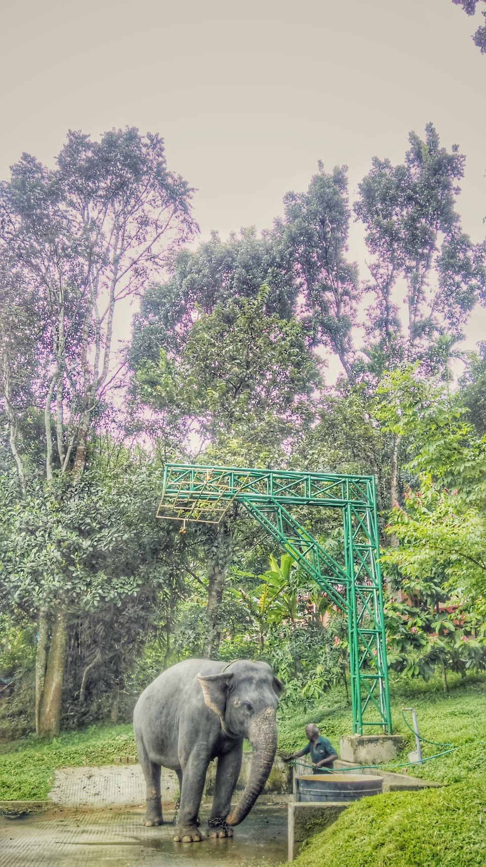 Photo of In search of the mysterious Neelakoduveli ;) 36/56 by Jerrin Issac