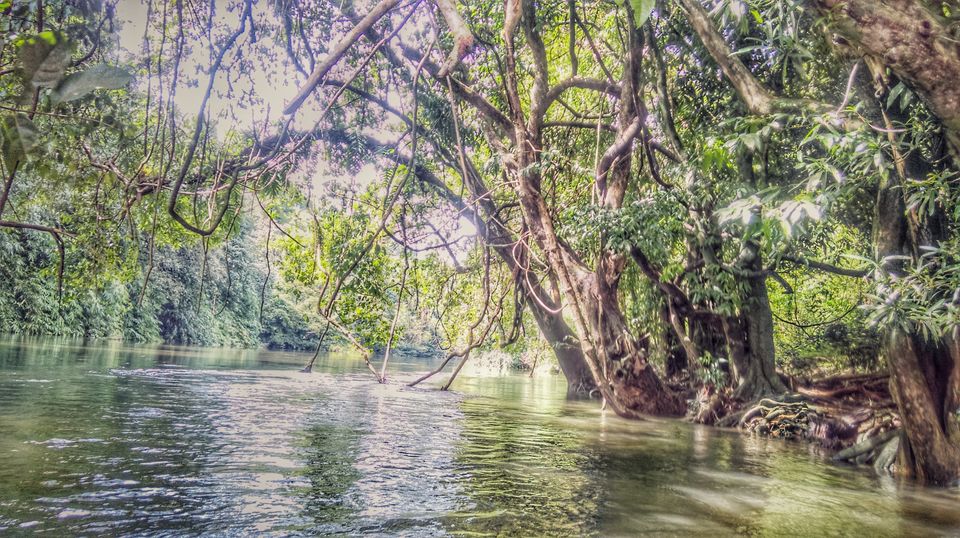 Photo of In search of the mysterious Neelakoduveli ;) 43/56 by Jerrin Issac