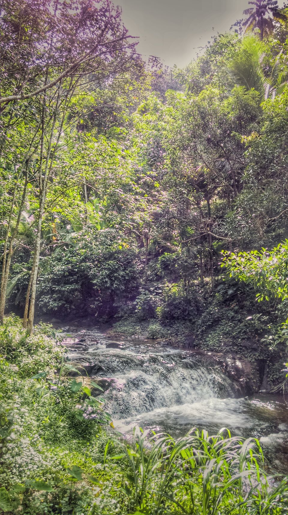 Photo of In search of the mysterious Neelakoduveli ;) 45/56 by Jerrin Issac