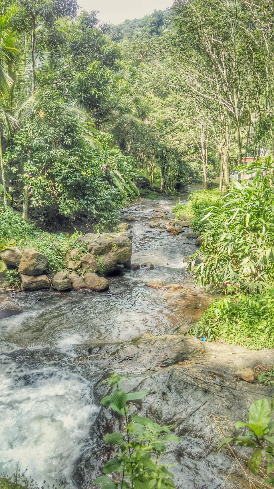 Photo of In search of the mysterious Neelakoduveli ;) 47/56 by Jerrin Issac