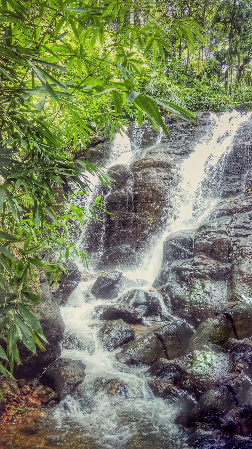 Photo of In search of the mysterious Neelakoduveli ;) 48/56 by Jerrin Issac