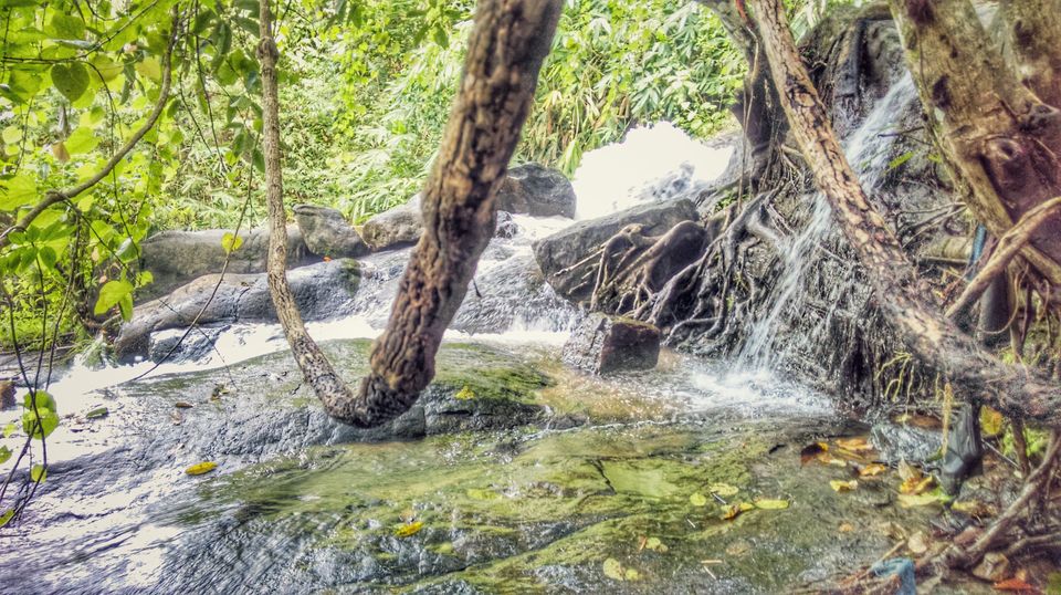 Photo of In search of the mysterious Neelakoduveli ;) 50/56 by Jerrin Issac