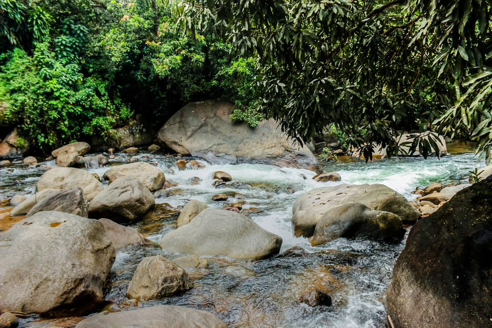 Photo of In search of the mysterious Neelakoduveli ;) 51/56 by Jerrin Issac