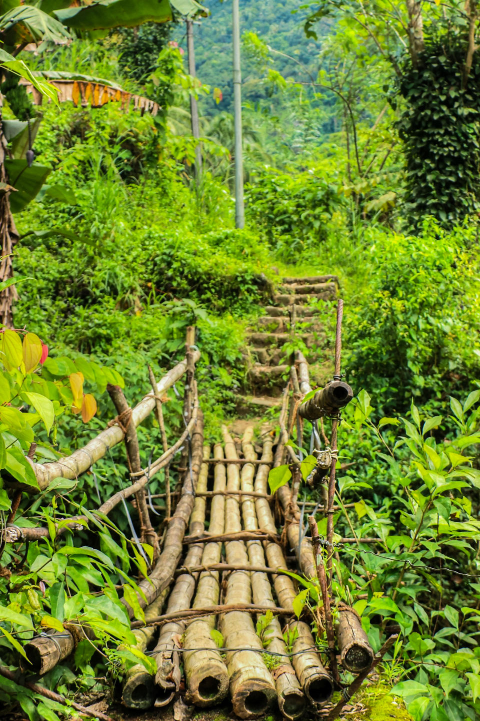 Photo of In search of the mysterious Neelakoduveli ;) 52/56 by Jerrin Issac