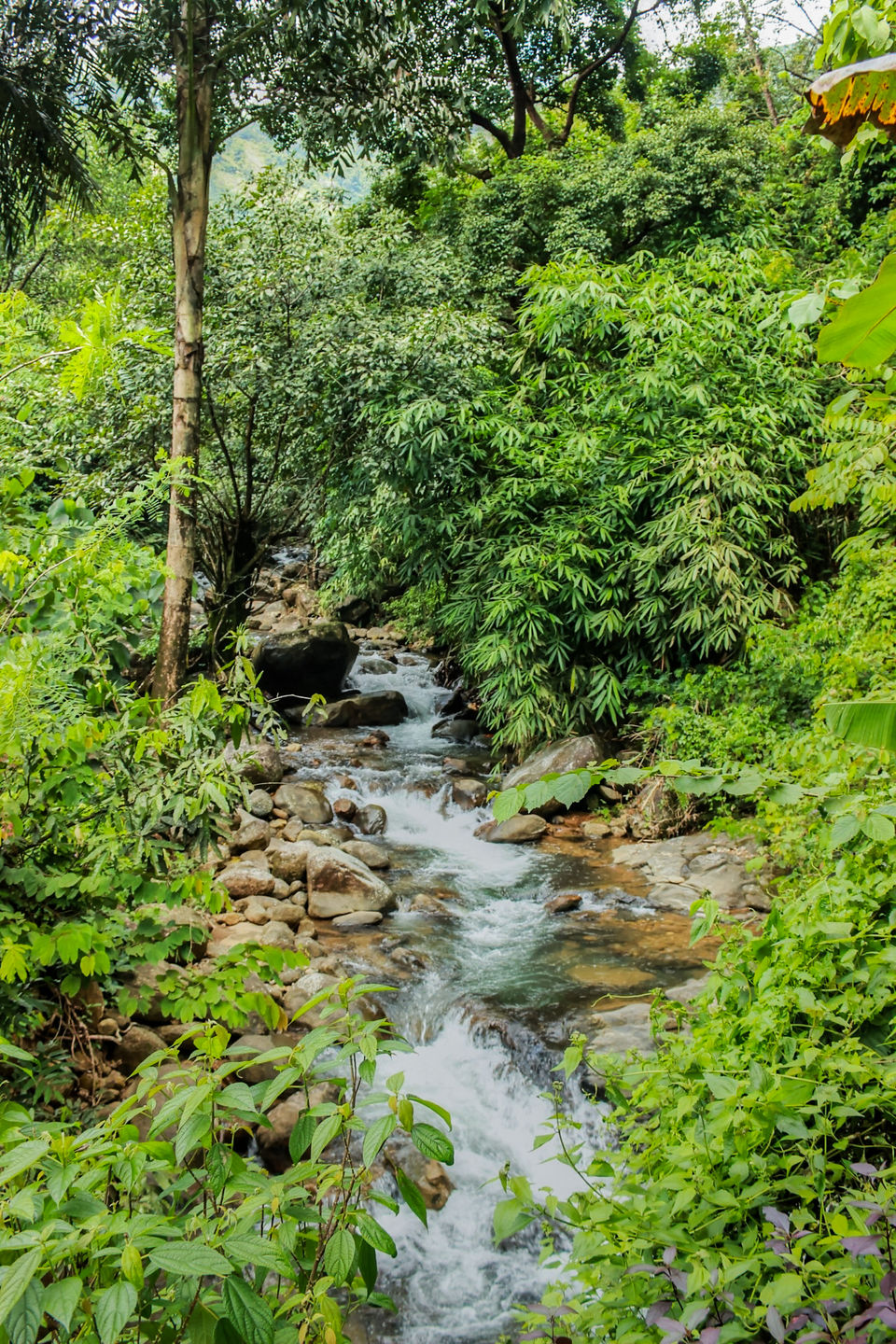 Photo of In search of the mysterious Neelakoduveli ;) 53/56 by Jerrin Issac