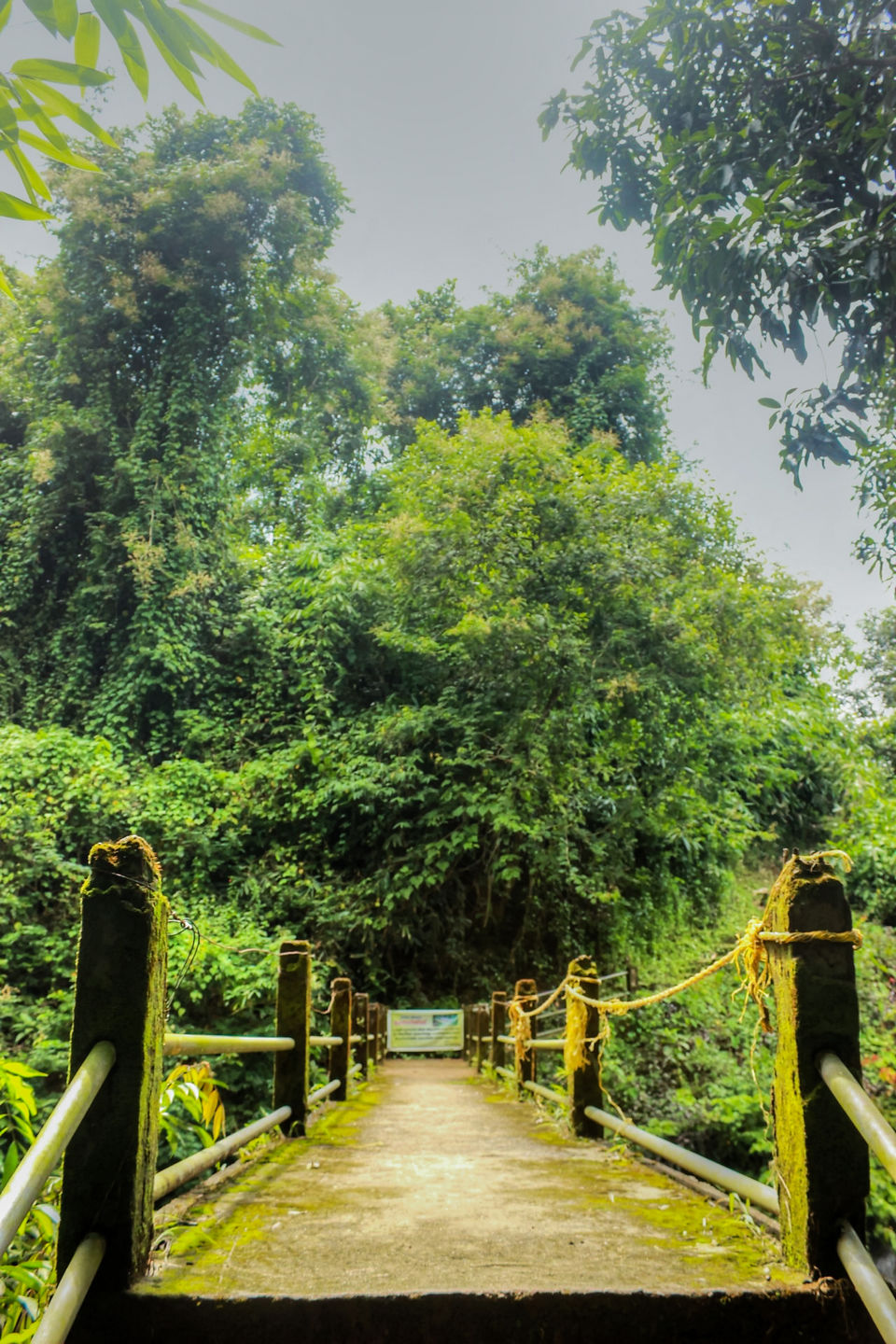 Photo of In search of the mysterious Neelakoduveli ;) 54/56 by Jerrin Issac